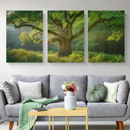 3pcs Sunlight, Green Leaves  Wall Art Set Canvas Unframed - High Quality Print 100% Australian Made Wall Canvas