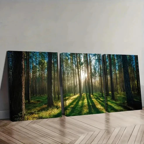 3pcs Trees Green Grass & Dirt PathwayWall Art Set Canvas Unframed - High Quality Print 100% Australian Made Wall Canvas