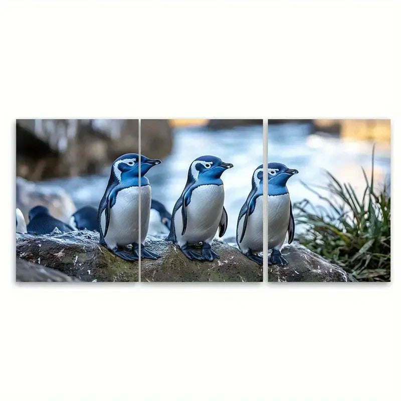 3pcs Blue Penguin Colony Oamaru Wall Art Set Canvas Framed 50x70cm - High Quality Print 100% Australian Made Wall Canvas Ready to Hang - Bella Home Decor