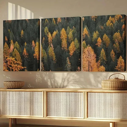 3pcs Autumn Pine Forest Colorado Scenery Wall Art Set Canvas Unframed - High Quality Print 100% Australian Made Wall Canvas - Bella Home Decor