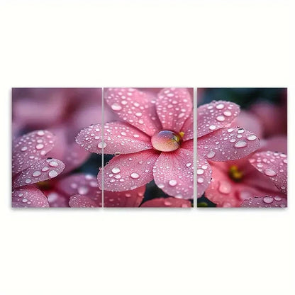 3pcs Morning Dew Droplets on Pink Flower ET  Wall Art Set Canvas Framed 50x70cm - High Quality Print 100% Australian Made Wall Canvas Ready to Hang - Bella Home Decor