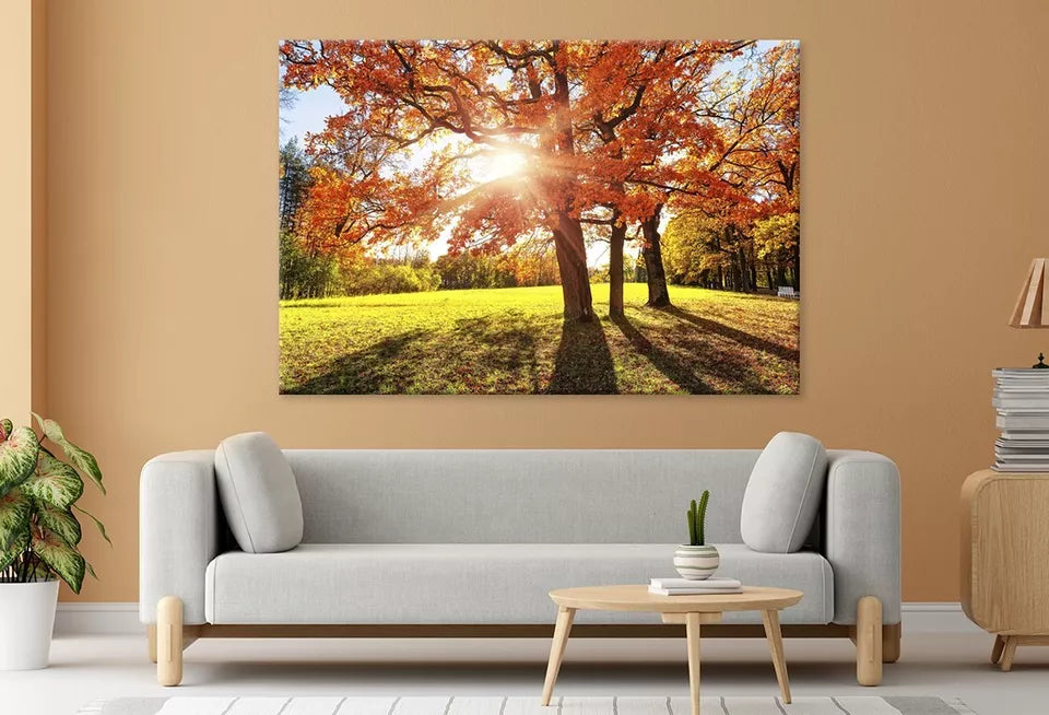 Autumn Tree With Golden ,Red Leaves Wall Art Decor 100% Australian Made - Bella Home Decor
