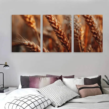 3pcs Golden Wheat Stalks in Brown & Tones    Wall Art Set Canvas Framed 40x60cm - High Quality Print 100% Australian Made Wall Canvas Ready to Hang - Bella Home Decor