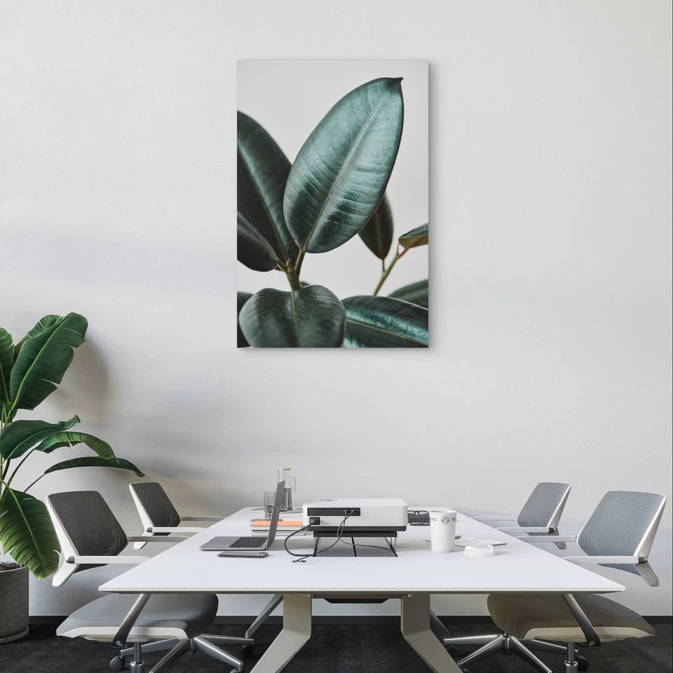 Dark Green Rubber Plant Leaves Wall Art 40x60cm Metal Print Ready to Hang