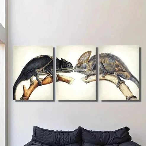 3pcs Featuring a Lizard And a Chameleon Wall Art Canvas Unframed - High Quality Print 100% Australian Made Wall Canvas
