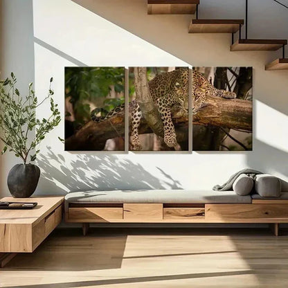 3pcs Vibrant Leopard Tree Climbing Wall Art Canvas Unframed - High Quality Print 100% Australian Made Wall Canvas
