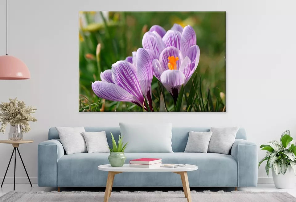 Spring Growing Flowers And Nature Wall Art Decor 100% Australian Made - Bella Home Decor