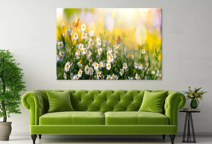 Flowers And Butterflies Close up Wall Art Decor 100% Australian Made - Bella Home Decor