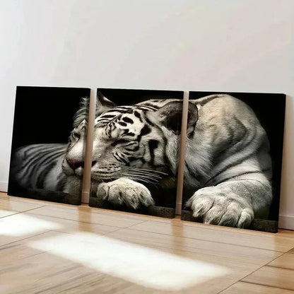 3pcs White Tiger Animal Wall Art Set Canvas Unframed - High Quality Print 100% Australian Made Wall Canvas