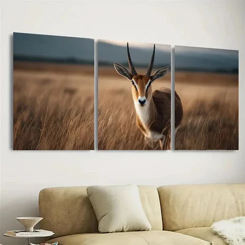 3pcs Farm Style, Ekand Antelope Wall Art Canvas Unframed - High Quality Print 100% Australian Made Wall Canvas - Bella Home Decor