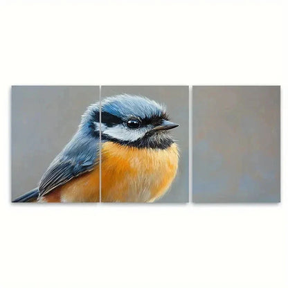 3pcs Small Birds Artwork DI   Wall Art Set Canvas Framed 50x70cm - High Quality Print 100% Australian Made Wall Canvas Ready to Hang