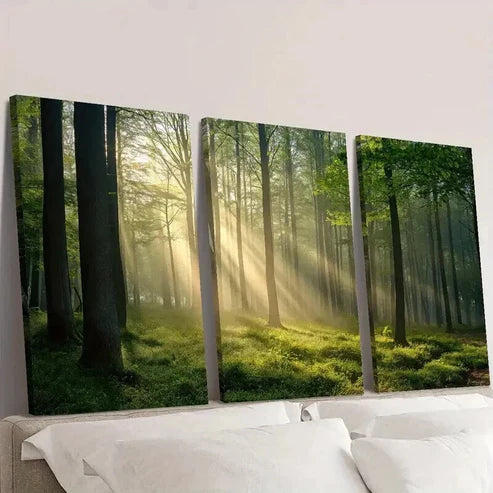 3pcs Sunlight Shining Through Green Forest Wall Art Set Canvas Unframed - High Quality Print 100% Australian Made Wall Canvas