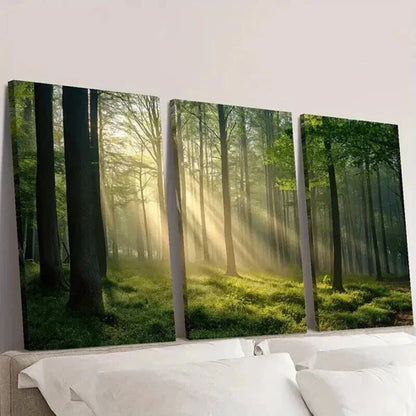 3pcs Sunlight Shining Through Green Forest Wall Art Set Canvas Unframed - High Quality Print 100% Australian Made Wall Canvas