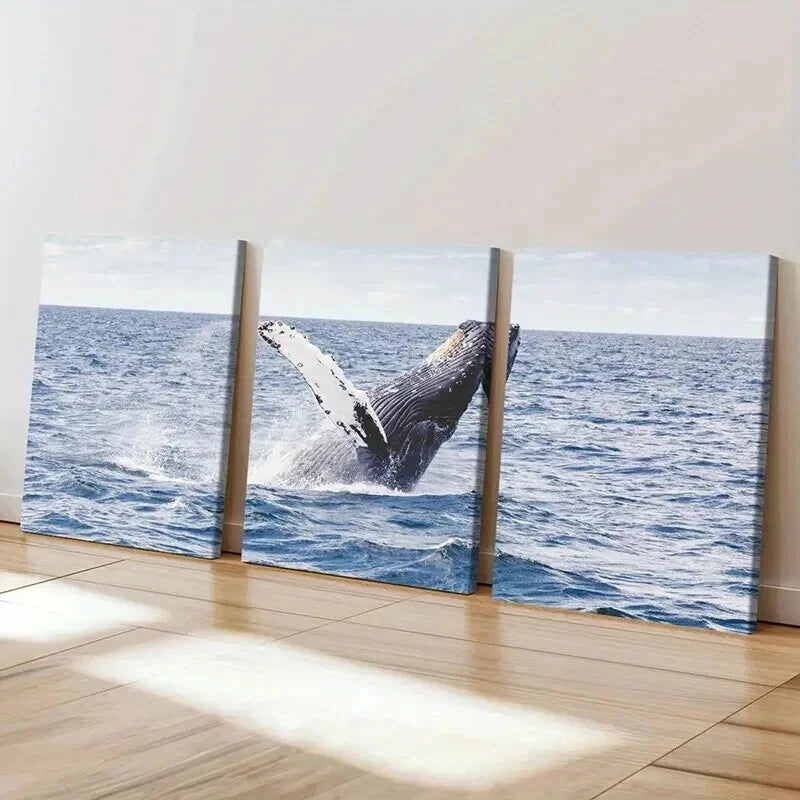 3pcs Sea Life Mammals Whale Portrait Wall Art Set Canvas Framed 50x70cm - High Quality Print 100% Australian Made Wall Canvas Ready to Hang - Bella Home Decor