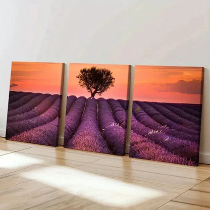 3pcs Vibrant Lavender Field with Sunset Wall Art Set Canvas Unframed - High Quality Print 100% Australian Made Wall Canvas