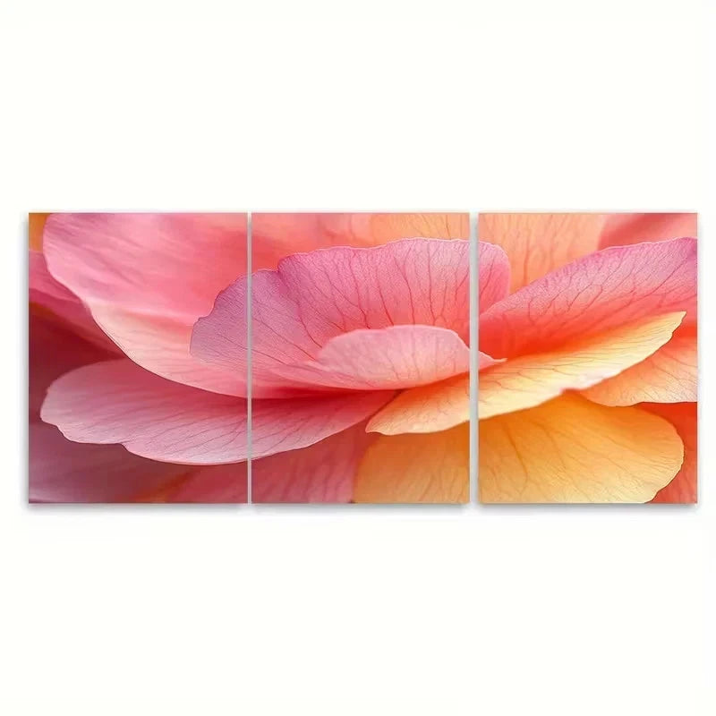 3pcs Contrast Pink And Yellow Petals Close Up Wall Art Set Canvas Framed 40x60cm – High Quality Print 100% Australian Made Wall Canvas Ready to Hang - Bella Home Decor