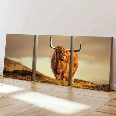 3pcs Plateau Highland Cattle Wall Art Set Canvas Unframed - High Quality Print 100% Australian Made Wall Canvas