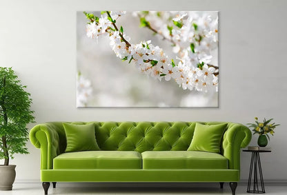 Elegant White Plum Blossom Wall Art Decor 100% Australian Made - Bella Home Decor