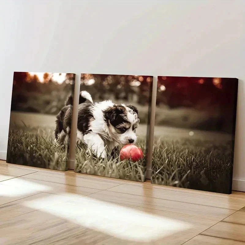 3pcs Puppy Playing Ball On Lawn Decor Wall Art Set Canvas Framed 50x70cm - High Quality Print 100% Australian Made Wall Canvas Ready to Hang