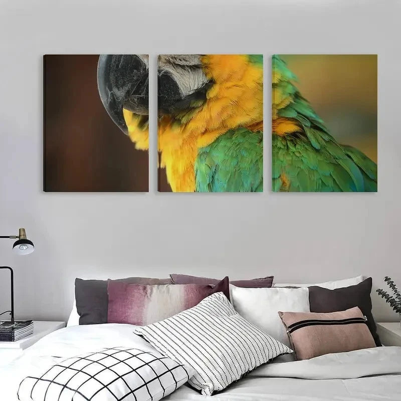 3pcs Vibrant Feathers Of The Green Macaw  Wall Art Set Canvas Framed 50x70cm - High Quality Print 100% Australian Made Wall Canvas Ready to Hang
