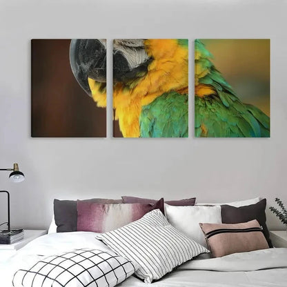3pcs Vibrant Feathers Of The Green Macaw  Wall Art Set Canvas Framed 50x70cm - High Quality Print 100% Australian Made Wall Canvas Ready to Hang