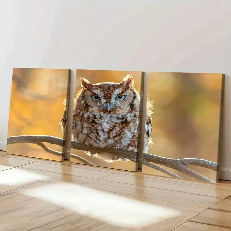 3pcs Animal Art Cute Owl Bird on a Branch Wall Art Set Canvas Framed 40x60cm - High Quality Print 100% Australian Made Wall Canvas Ready to Hang - Bella Home Decor