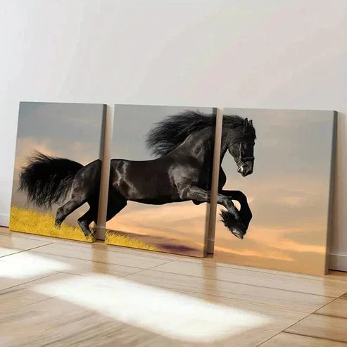 3pcs Black Horse Galloping Across a Grassy Field Wall Art Canvas Unframed - High Quality Print 100% Australian Made Wall Canvas - Bella Home Decor