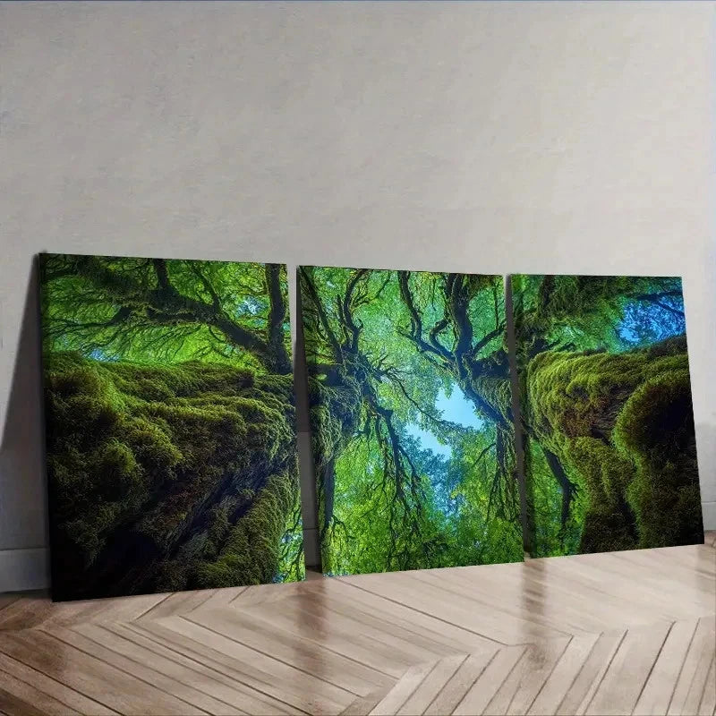 3pcs The Perspective from Within an Old Tree Wall Art Set Canvas Framed 50x70cm - High Quality Print 100% Australian Made Wall Canvas Ready to Hang - Bella Home Decor