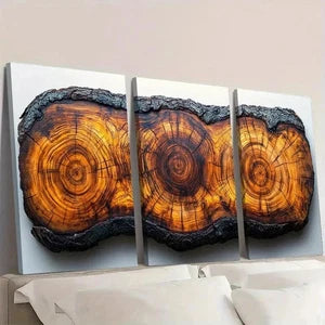 3pcs Tree Ring Prints Beauty R   Wall Art Set Canvas Framed 40x60cm - High Quality Print 100% Australian Made Wall Canvas Ready to Hang