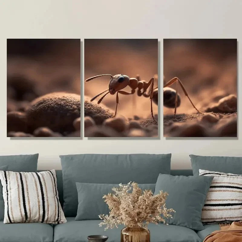 3pcs Macro Photography  ANT  Wall Art Canvas Framed 40x60cm - High Quality Print 100% Australian Made Wall Canvas Ready to Hang - Bella Home Decor