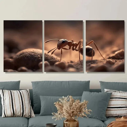 3pcs Macro Photography  ANT  Wall Art Canvas Framed 40x60cm - High Quality Print 100% Australian Made Wall Canvas Ready to Hang - Bella Home Decor