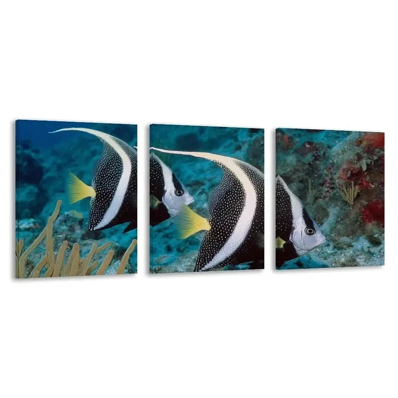 3pcs Two Black and white Angelfish swimming Wall Art Set Canvas Framed 50x70cm - High Quality Print 100% Australian Made Wall Canvas Ready to Hang