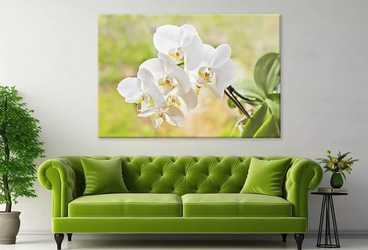 Elegant White Orchid FlowersWall Art Decor 100% Australian Made - Bella Home Decor
