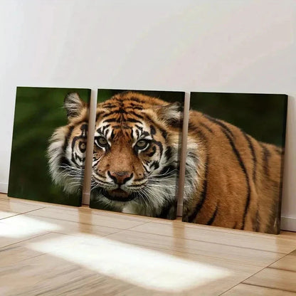 3pcs Realistic Tiger Watching Print Wall Art Set Canvas Framed 60x90cm - High Quality Print 100% Australian Made Wall Canvas Ready to Hang