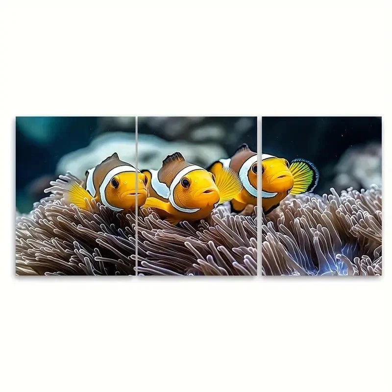 3pcs Anemonefish Three Clown Fish E  Wall Art Set Canvas Framed 60x90cm - High Quality Print 100% Australian Made Wall Canvas Ready to Hang - Bella Home Decor