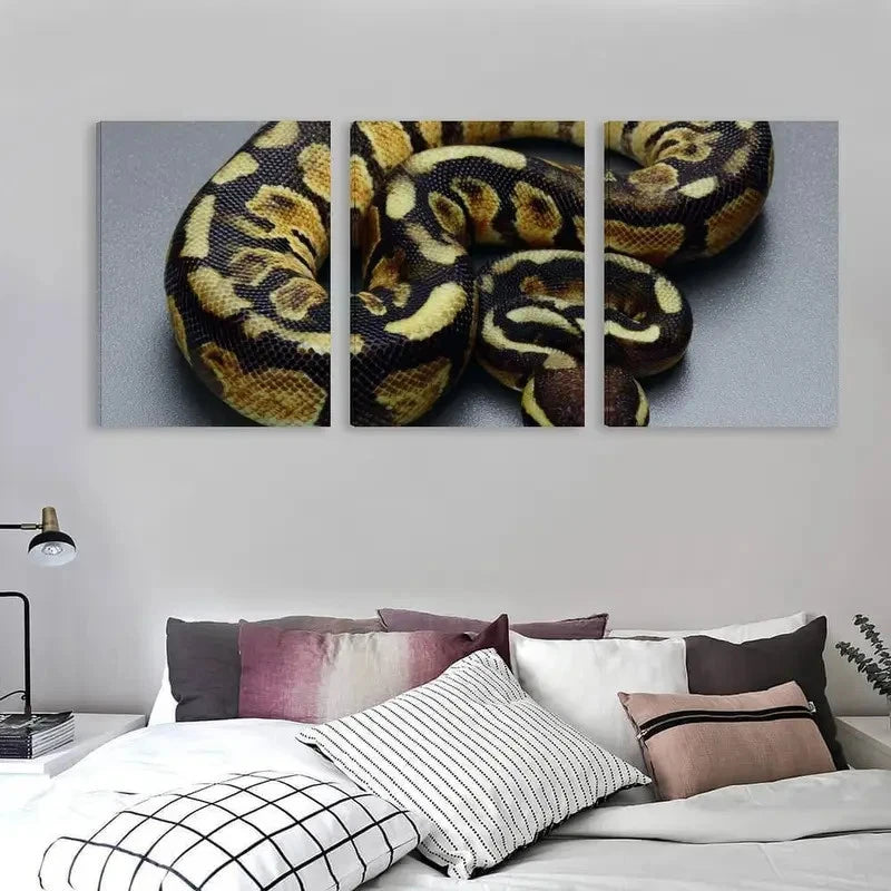3pcs Intricate Scales Of A Ball Python Wall Art Set Canvas Framed 40x60cm - High Quality Print 100% Australian Made Wall Canvas Ready to Hang