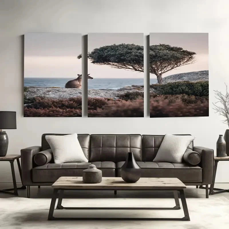 3pcs Kangaroo Island Reserve in Australia  Wall Art Set Canvas Framed 50x70cm - High Quality Print 100% Australian Made Wall Canvas Ready to Hang