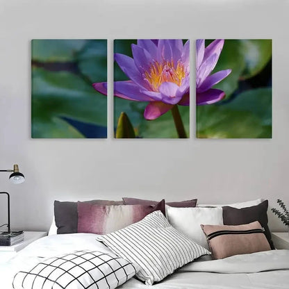 3pcs Purple Water Lily Flower Blooming  Wall Art Set Canvas Framed 50x70cm - High Quality Print 100% Australian Made Wall Canvas Ready to Hang
