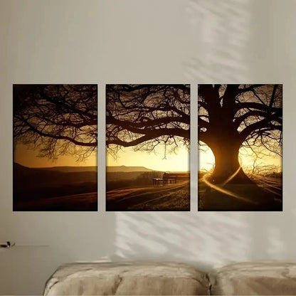 3pcs a tree with a bench in the middle Wall Art Set Canvas Framed 50x70cm - High Quality Print 100% Australian Made Wall Canvas Ready to Hang - Bella Home Decor