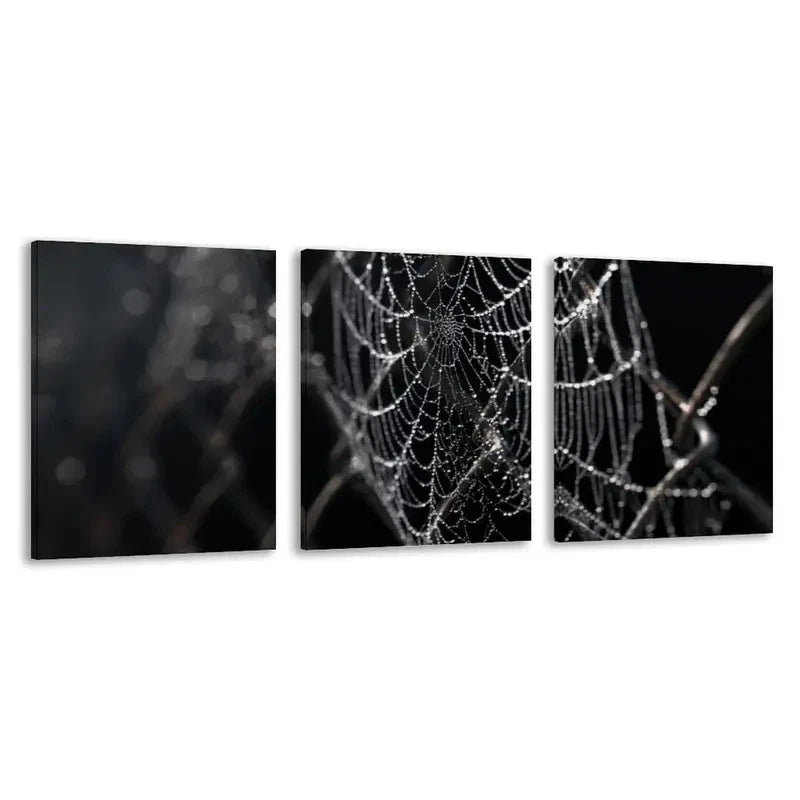 3pcs Close Up of Spider Webs on a Chain  Wall Art Set Canvas Framed 60x90cm - High Quality Print 100% Australian Made Wall Canvas Ready to Hang - Bella Home Decor