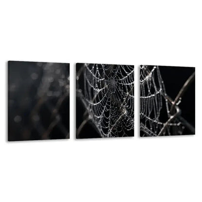 3pcs Close Up of Spider Webs on a Chain  Wall Art Set Canvas Framed 60x90cm - High Quality Print 100% Australian Made Wall Canvas Ready to Hang - Bella Home Decor