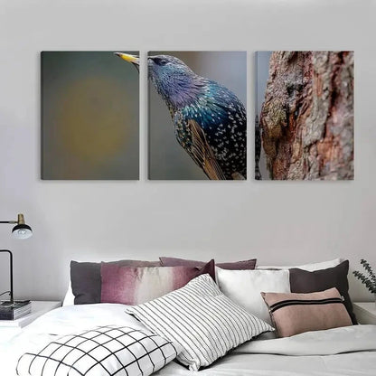 3pcs Sturnus vulgaris photo of a starling  Wall Art Set Canvas Framed 60x90cm - High Quality Print 100% Australian Made Wall Canvas Ready to Hang