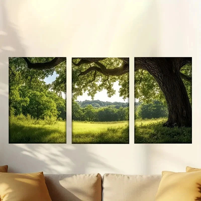 3pcs A large tree in a grassy field Wall Art Set Canvas Framed 40x60cm - High Quality Print 100% Australian Made Wall Canvas Ready to Hang - Bella Home Decor