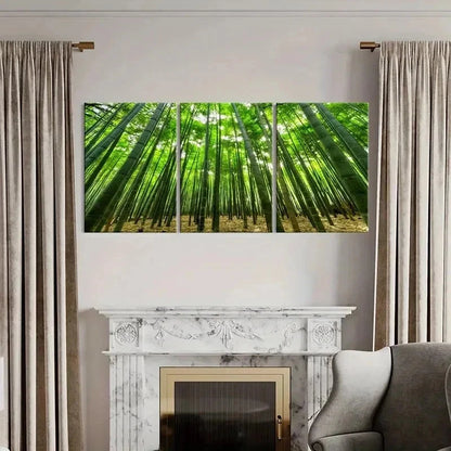 3pcs Green Bamboo Forest Natural Landscape Wall Art Set Canvas Framed 50x70cm - High Quality Print 100% Australian Made Wall Canvas Ready to Hang