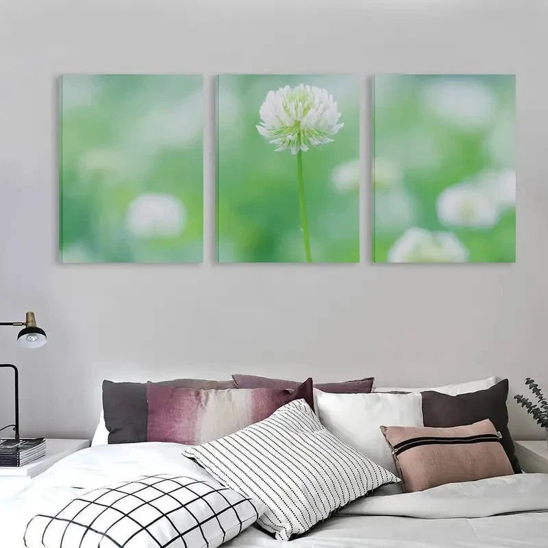 3pcs A Single White Clover In Bloom   Wall Art Set Canvas Framed 50x70cm - High Quality Print 100% Australian Made Wall Canvas Ready to Hang - Bella Home Decor