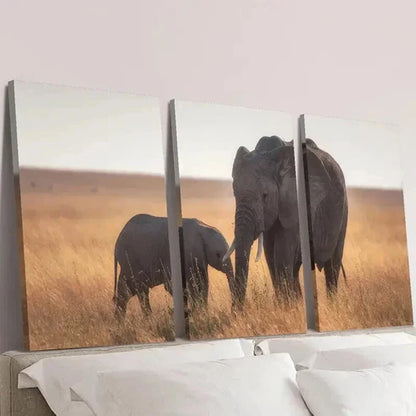 3pcs Elephant and Baby Elephant Wildlife Wall Art Canvas Unframed - High Quality Print 100% Australian Made Wall Canvas