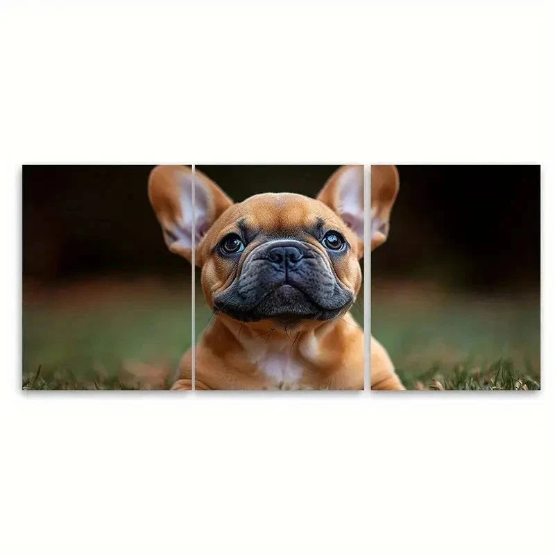 3pcs Bulldog Puppy Canvas Playful Pet ET   Wall Art Set Canvas Framed 60x90cm - High Quality Print 100% Australian Made Wall Canvas Ready to Hang - Bella Home Decor