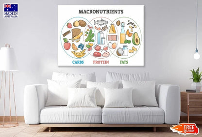 NEW (LAMINATED) Fruits & Animals (61X91CM) SCIENCE CHART PICTURE PRINT
