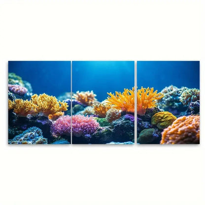 3pcs Diverse Reef Corals KM  Wall Art Set Canvas Framed 40x60cm - High Quality Print 100% Australian Made Wall Canvas Ready to Hang - Bella Home Decor