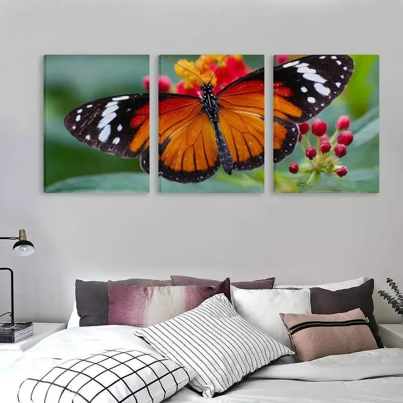 3pcs Danaus chrysippus Butterfly Decor  Wall Art Set Canvas Framed 50x70cm - High Quality Print 100% Australian Made Wall Canvas Ready to Hang - Bella Home Decor